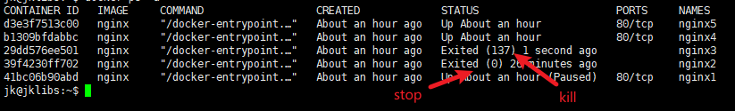 image-20240926174810333